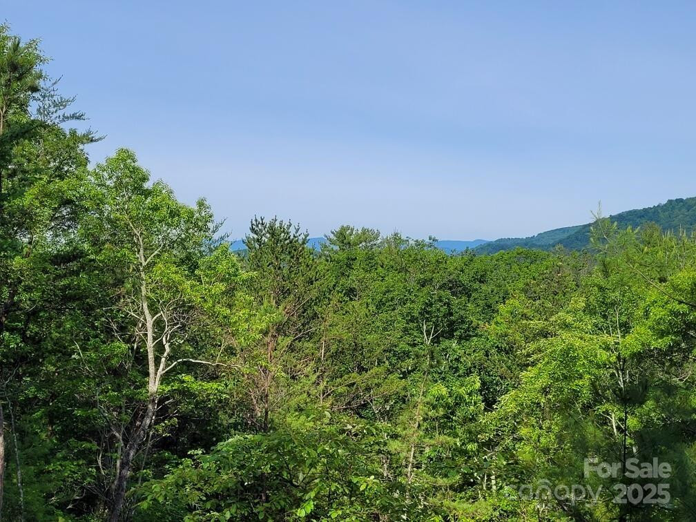 Lot 12/13B Quail Drive - Photo 9