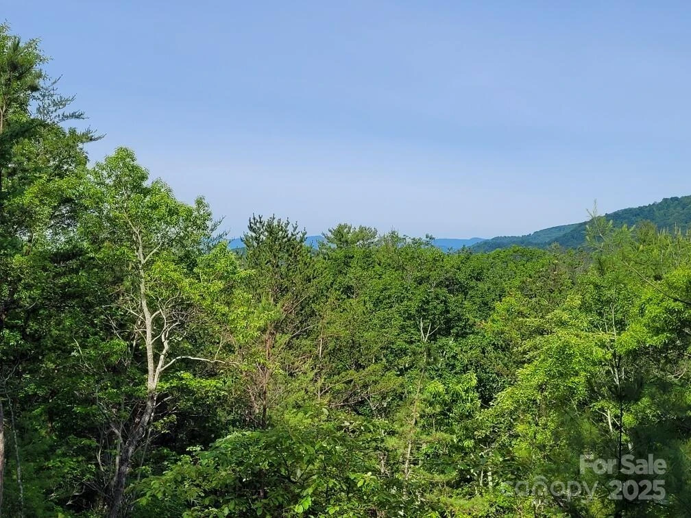 Lot 12/13B Quail Drive - Photo 9