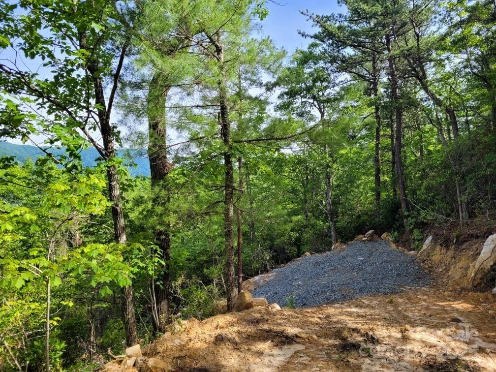 Lot 12/13B Quail Drive - Photo 10