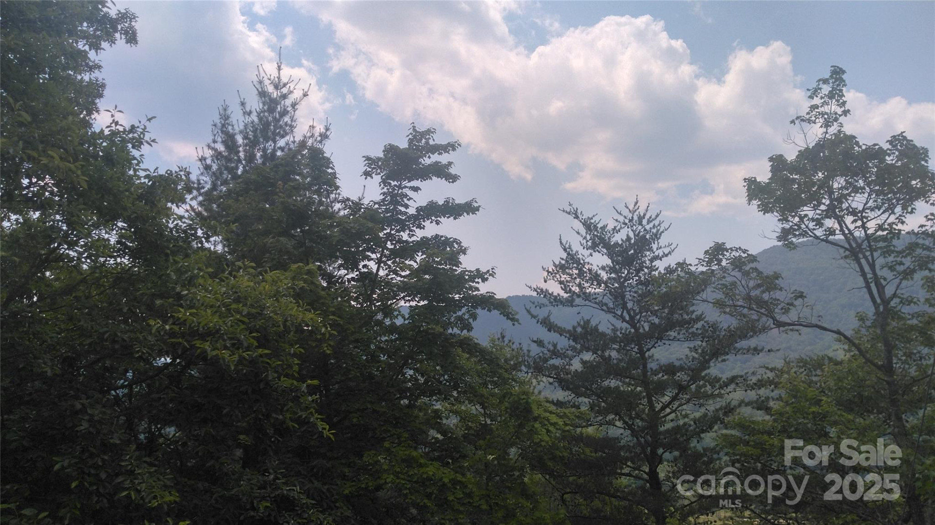 Lot 2F Seminole Path - Photo 11