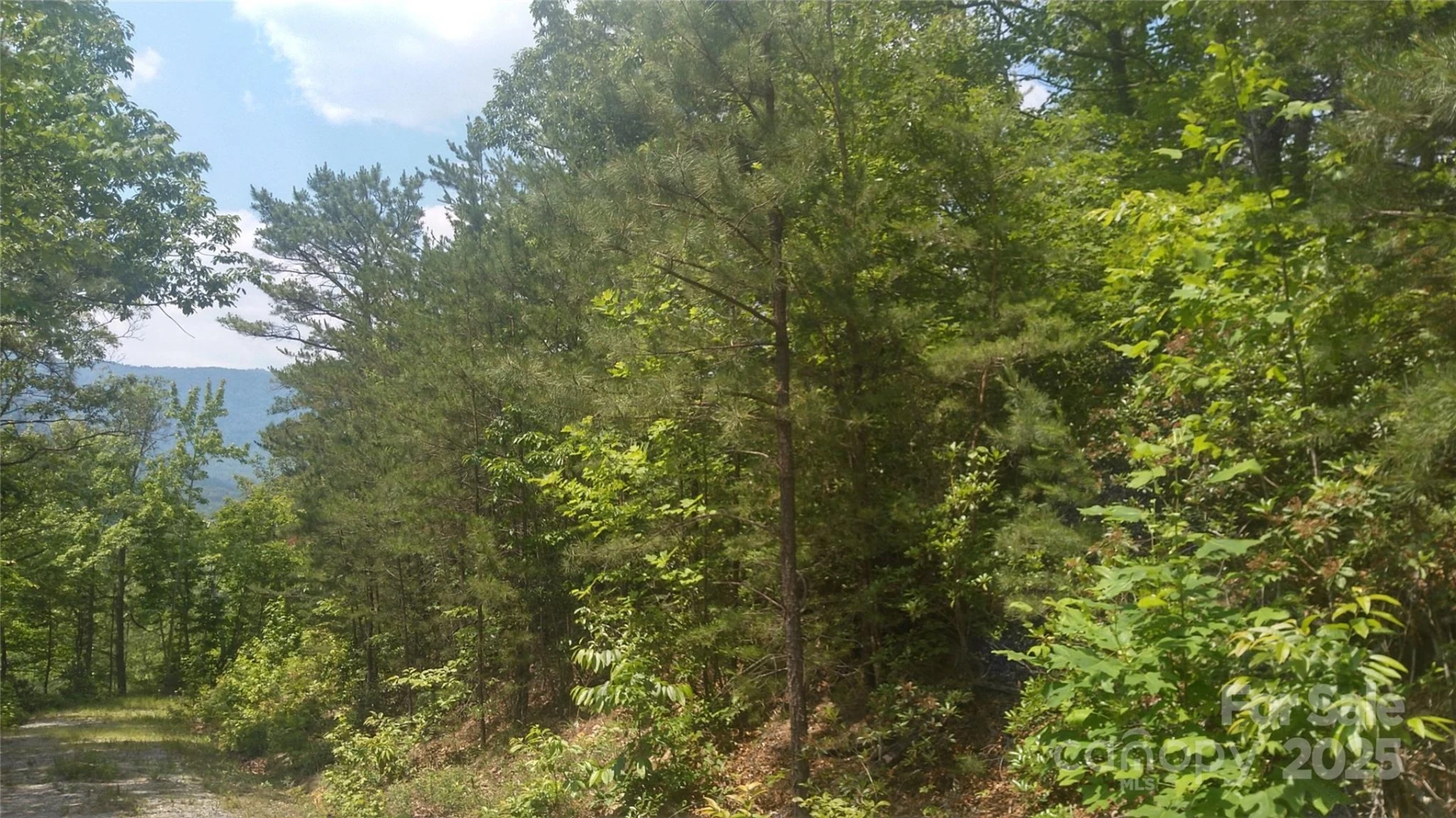 Lot 2F Seminole Path - Photo 12