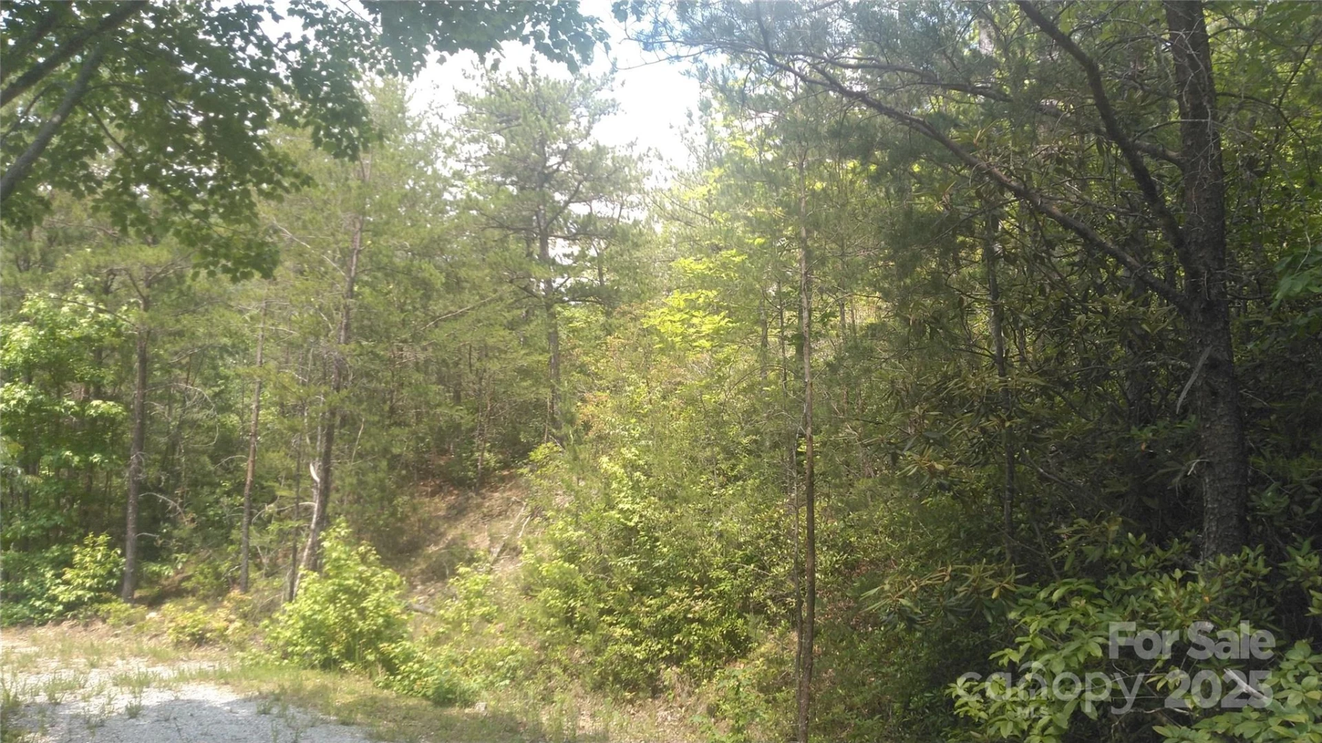 Lot 2F Seminole Path - Photo 13