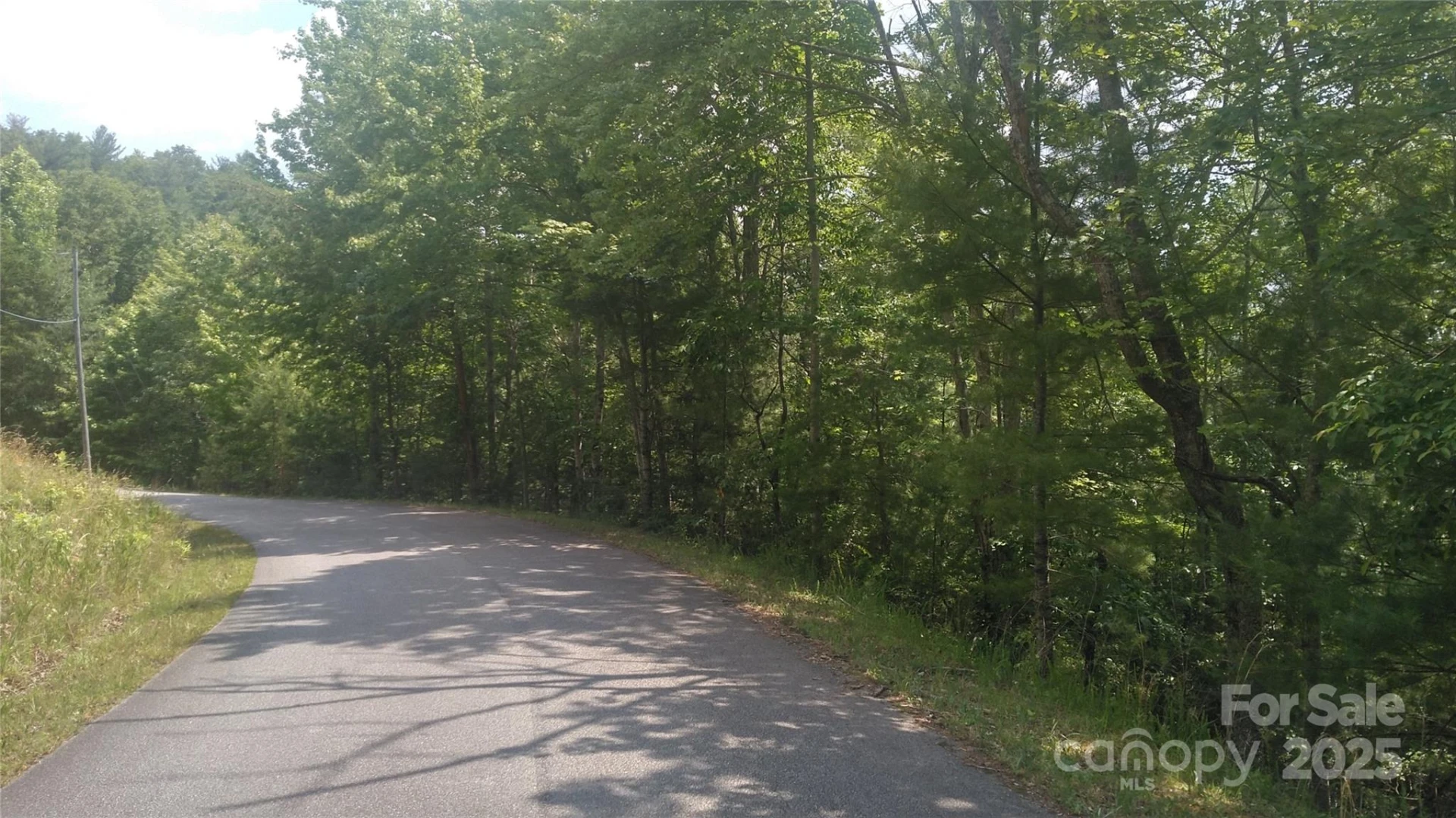 Lot 2F Seminole Path - Photo 4