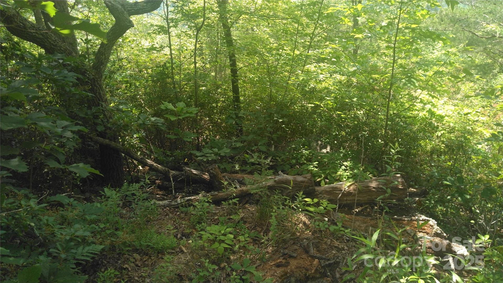 Lot 2F Seminole Path - Photo 5