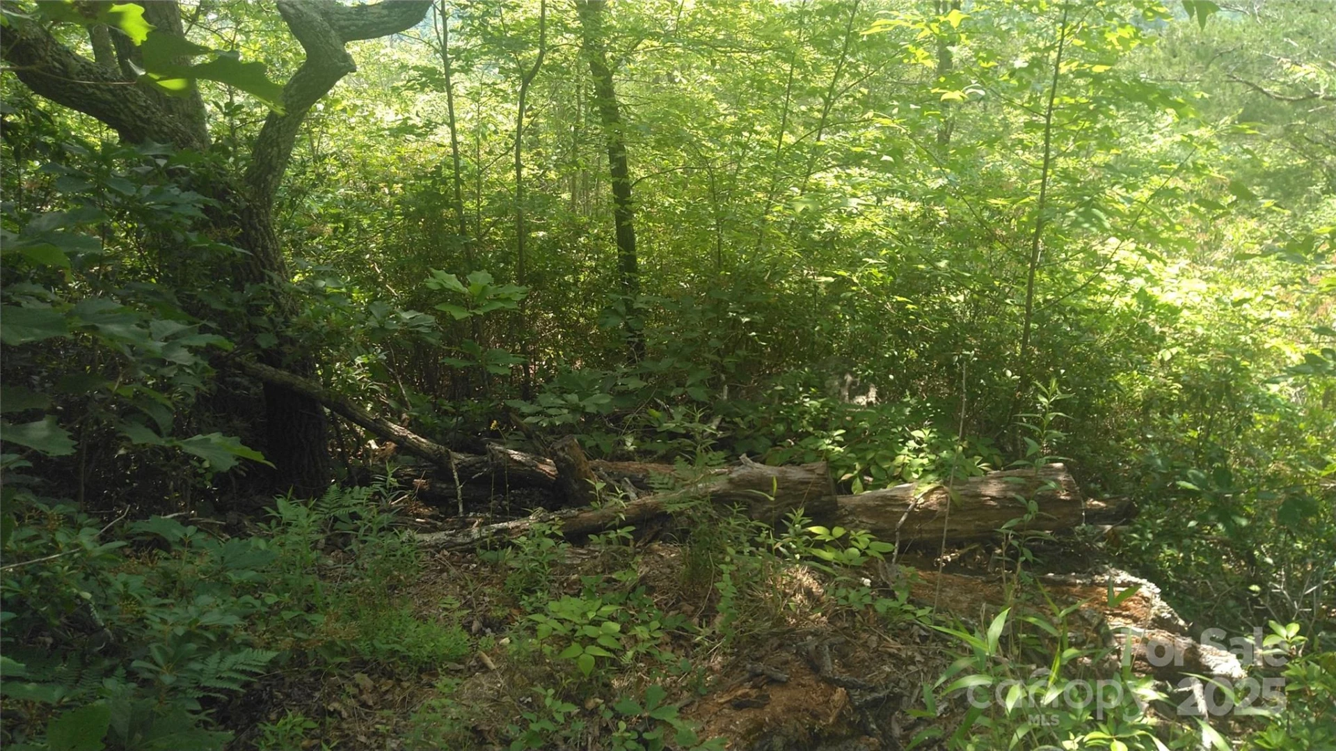 Lot 2F Seminole Path - Photo 5