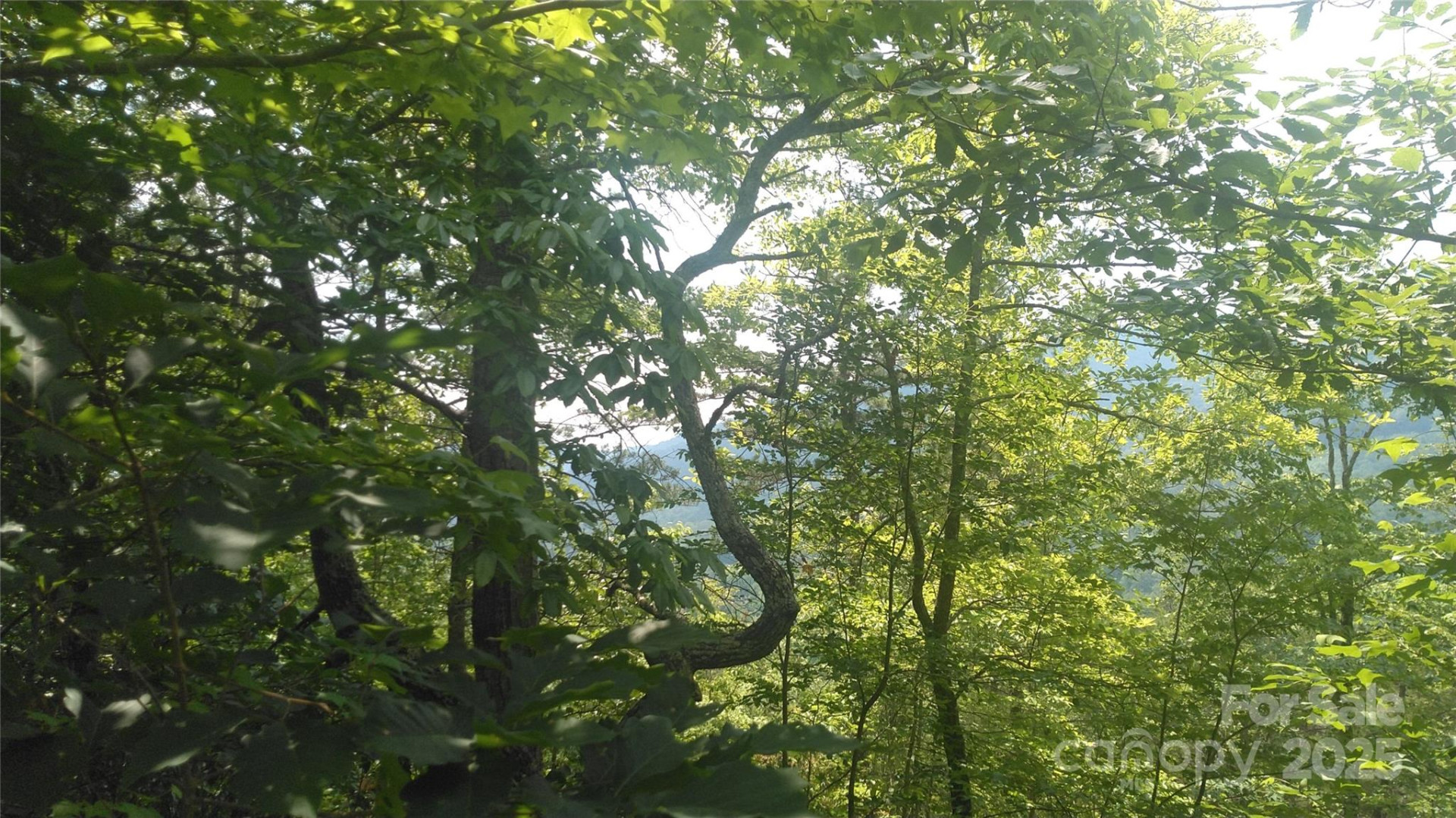 Lot 2F Seminole Path - Photo 6