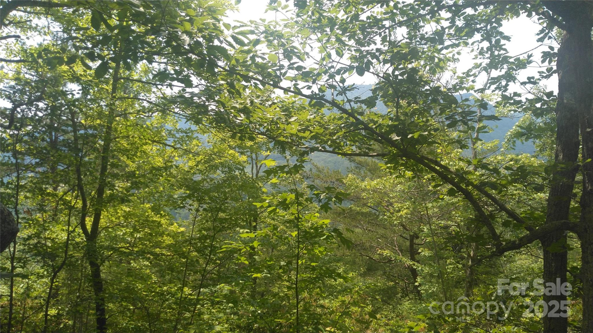 Lot 2F Seminole Path - Photo 7