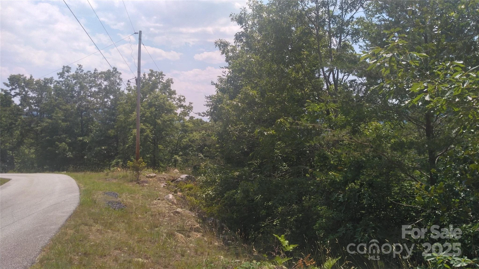 Lot 2F Seminole Path - Photo 8