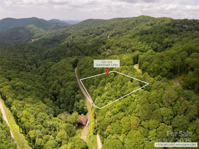 000 Tearshirt Lane, Mars Hill, NC, 28754