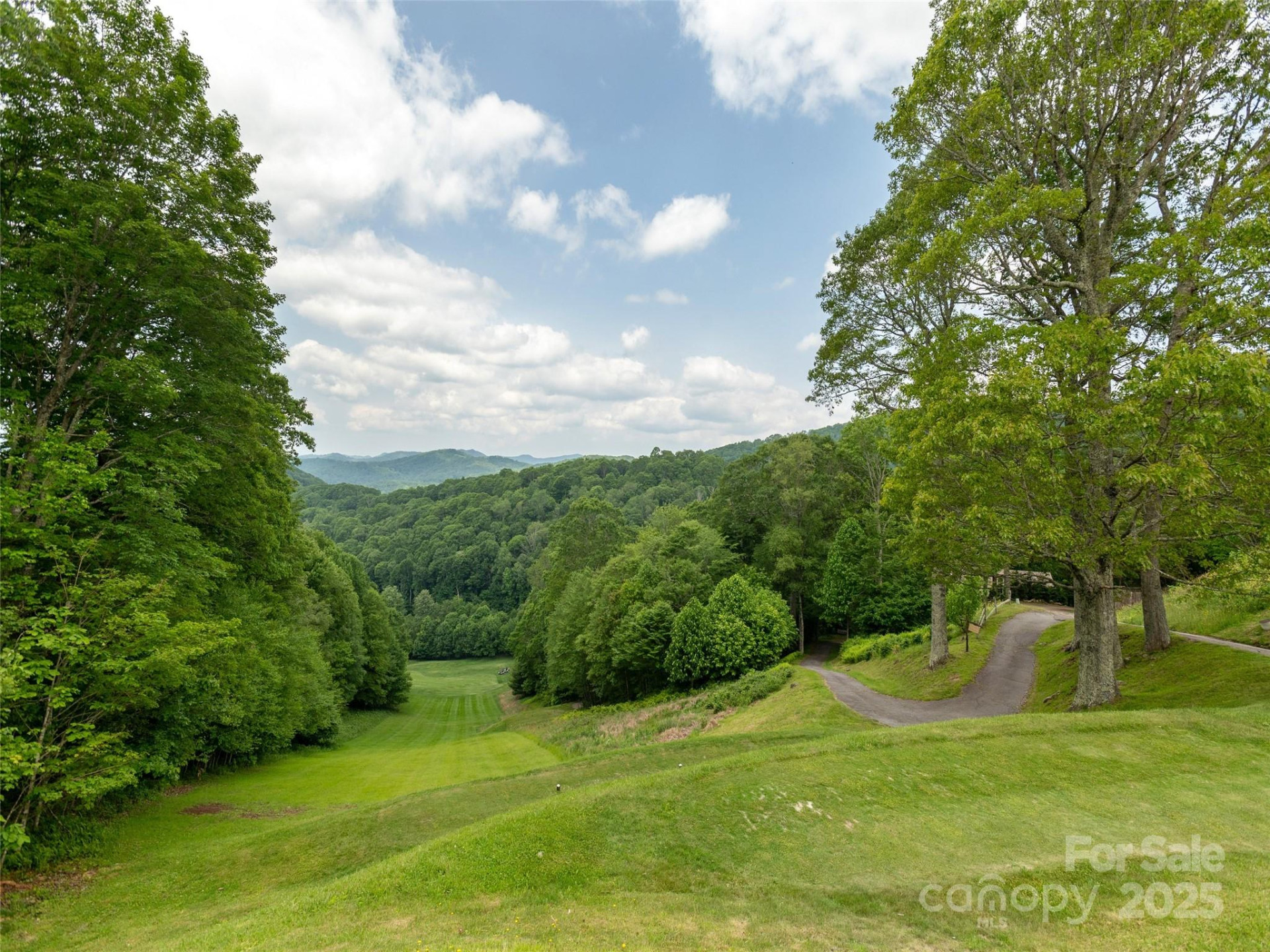 000 Tearshirt Lane #268 - Photo 12