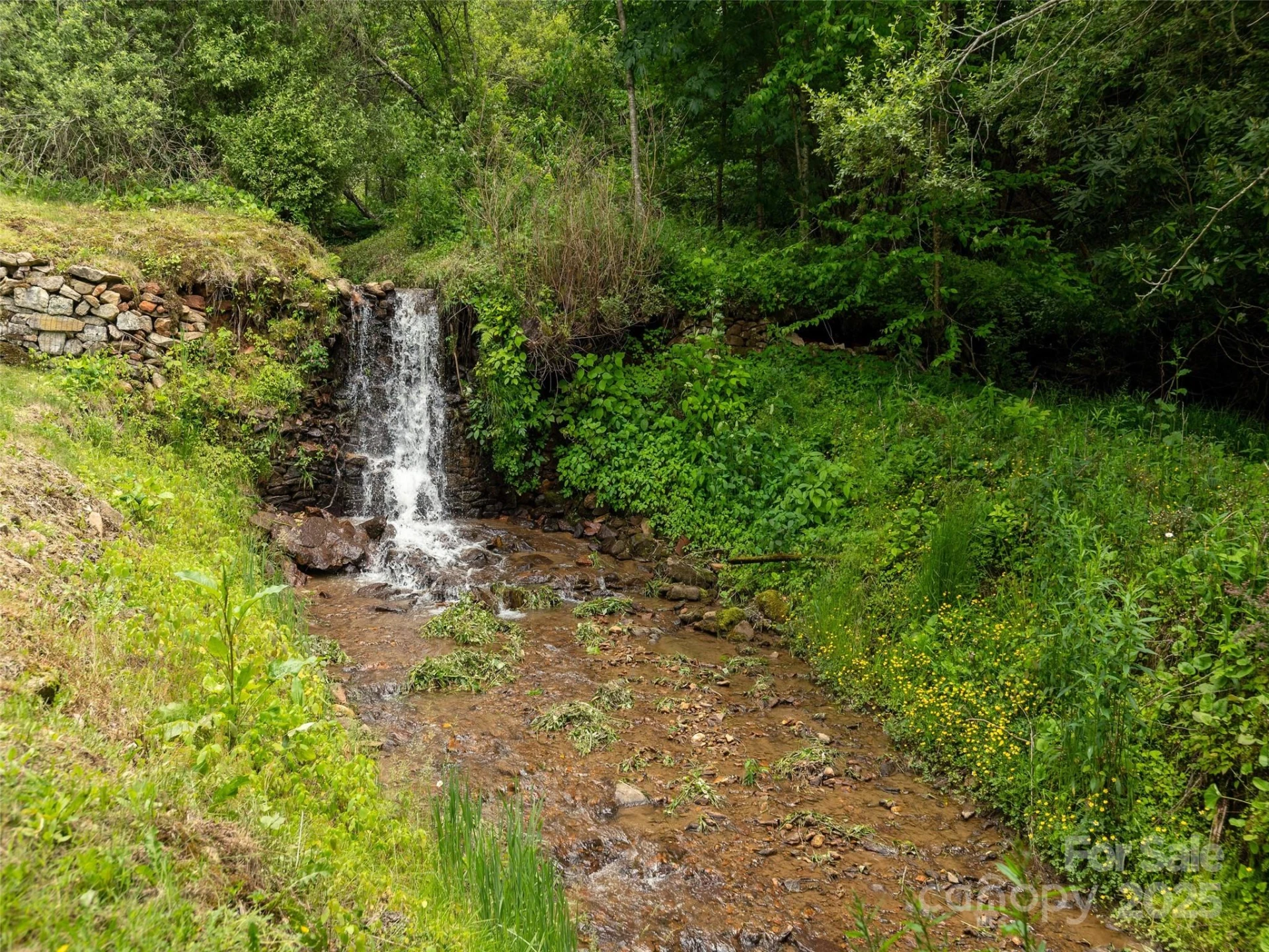 000 Tearshirt Lane #268 - Photo 24