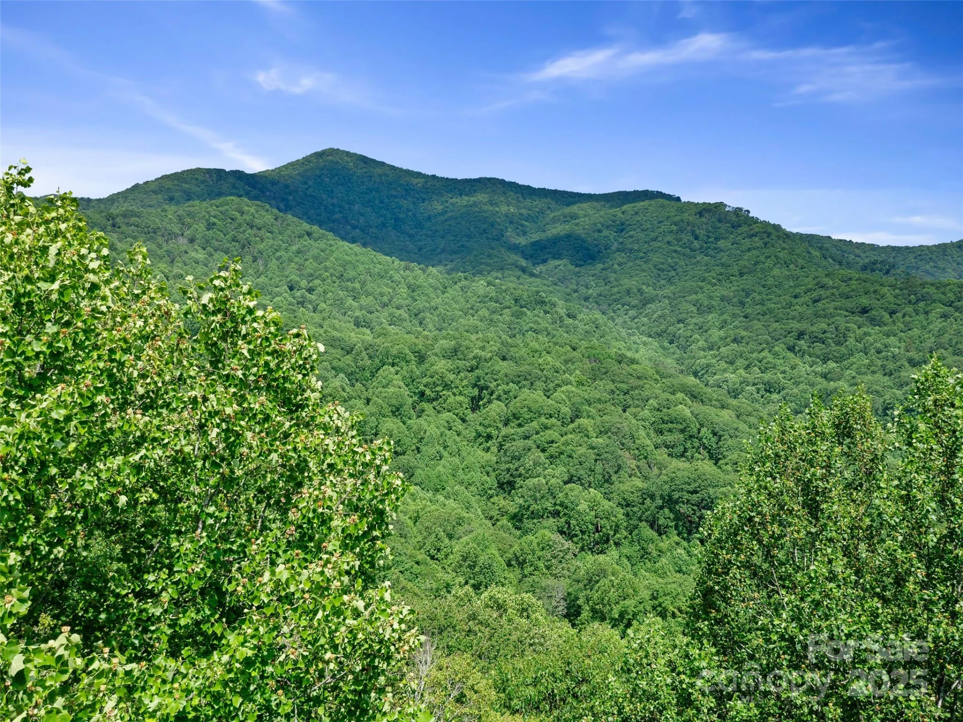 #1 TBD LOTTIES CREEK Road #Lot 8, 39, 40, 41, 45 - Photo 2