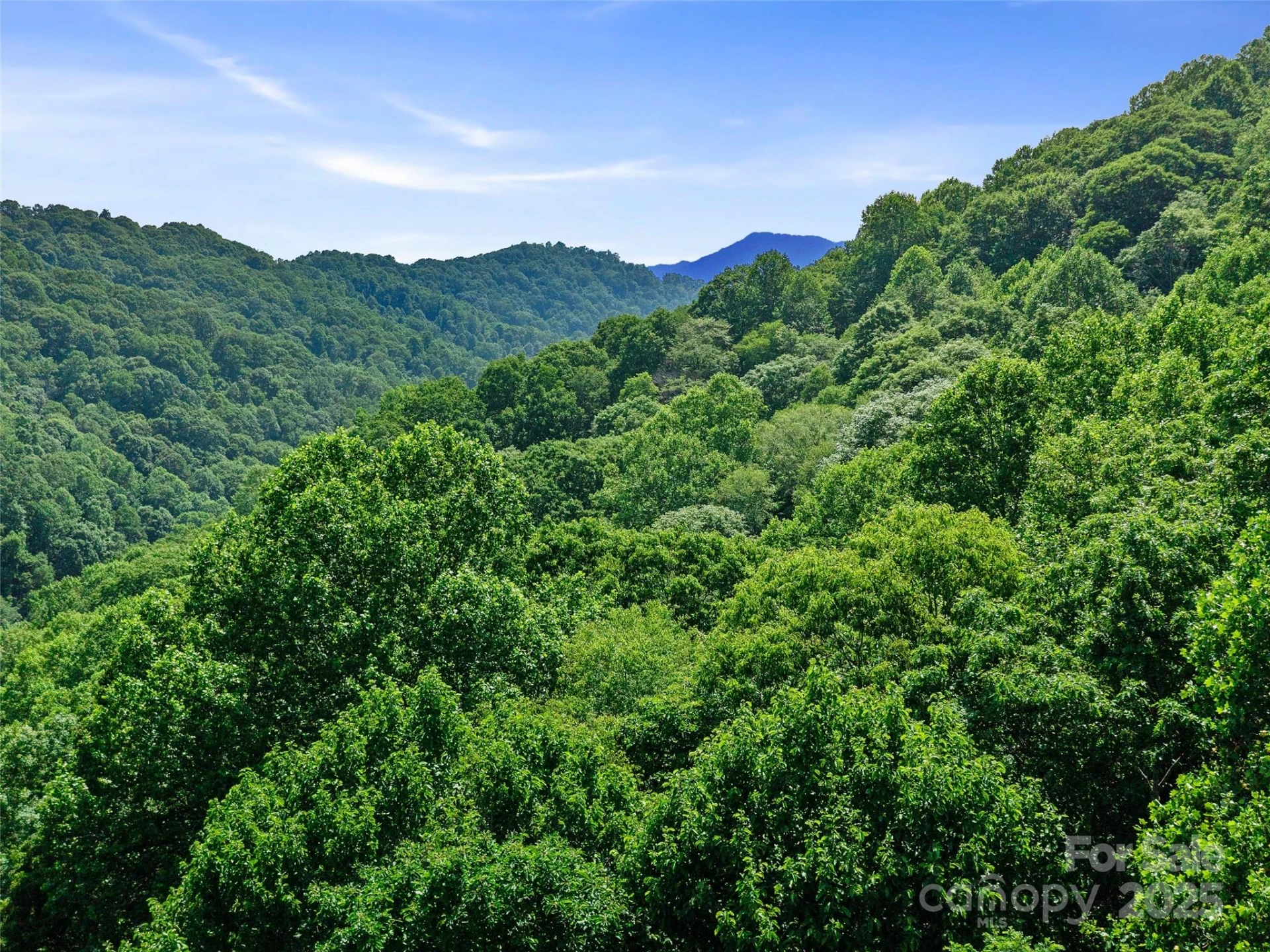 #1 TBD LOTTIES CREEK Road #Lot 8, 39, 40, 41, 45 - Photo 12