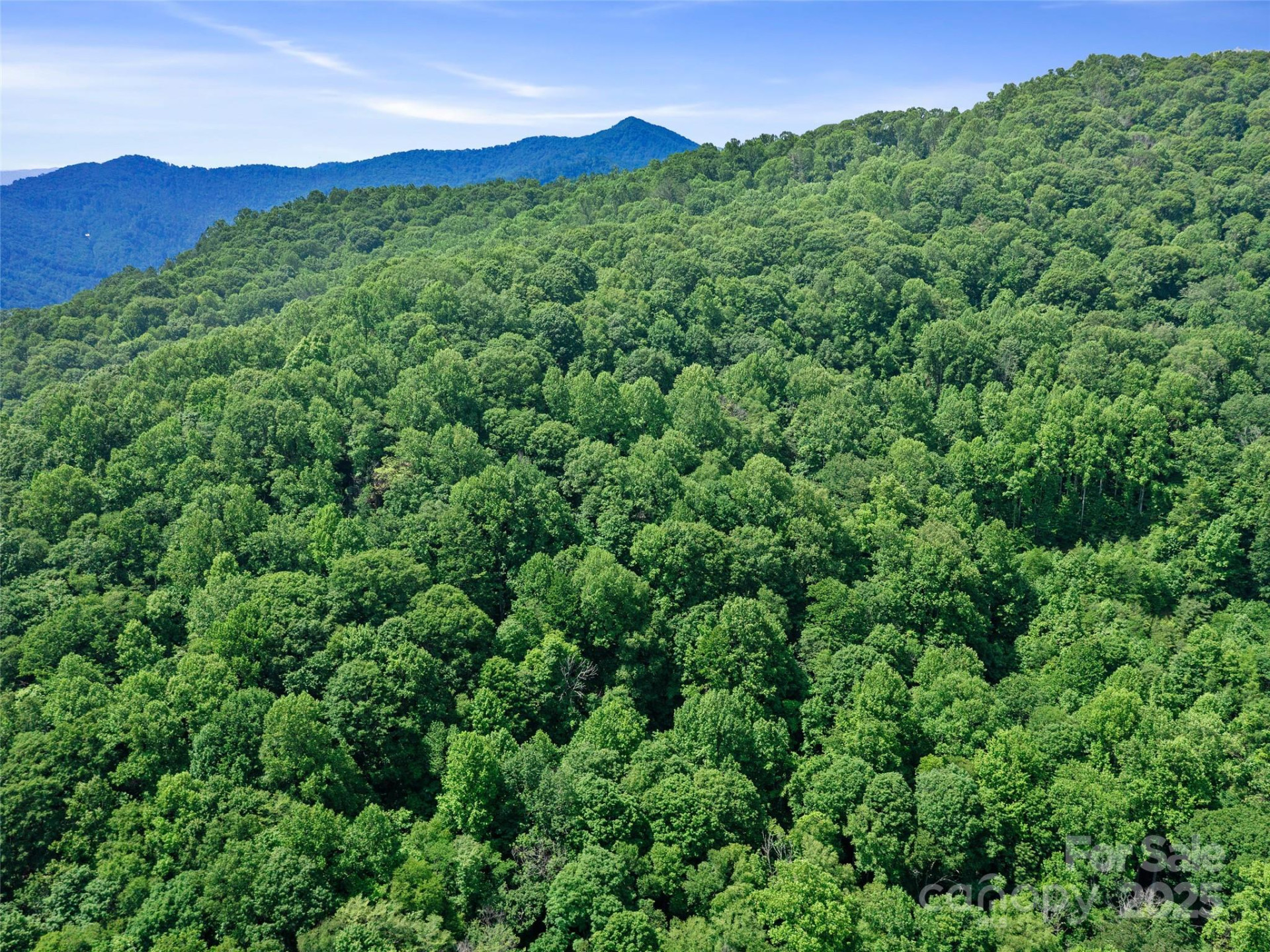 #1 TBD Lotties Creek Road #Lot 8, 39, 40, 41, 45 - Photo 13