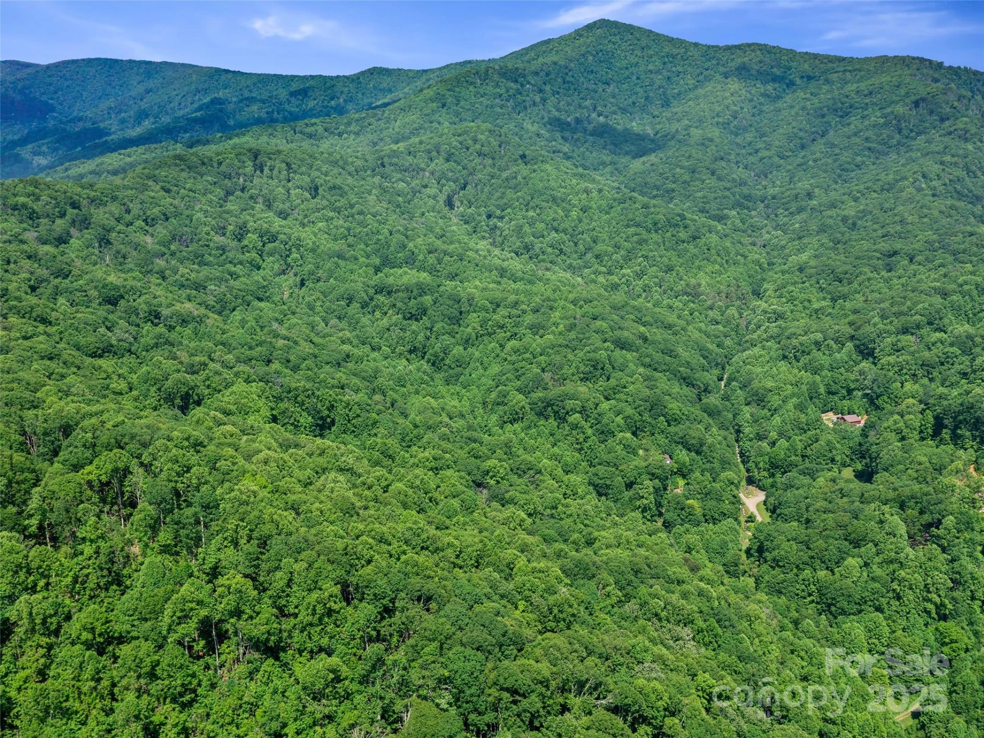 #1 TBD LOTTIES CREEK Road #Lot 8, 39, 40, 41, 45 - Photo 14