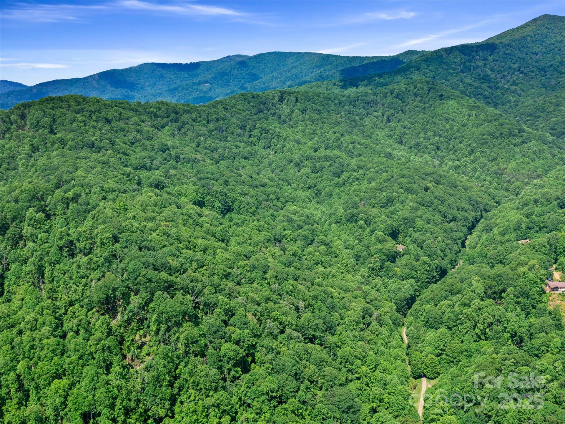 #1 TBD LOTTIES CREEK Road #Lot 8, 39, 40, 41, 45 - Photo 15