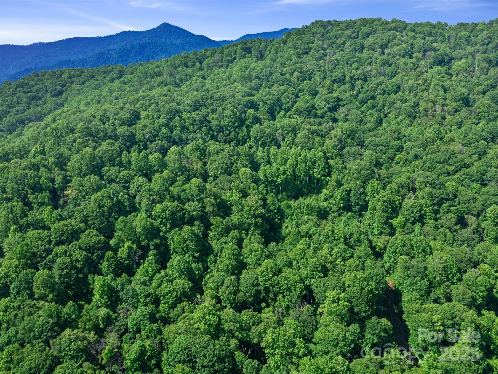 #1 TBD LOTTIES CREEK Road #Lot 8, 39, 40, 41, 45 - Photo 16