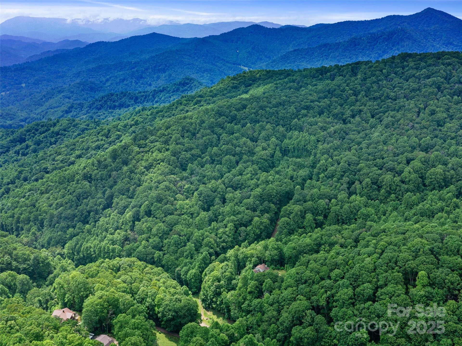 #1 TBD LOTTIES CREEK Road #Lot 8, 39, 40, 41, 45 - Photo 17