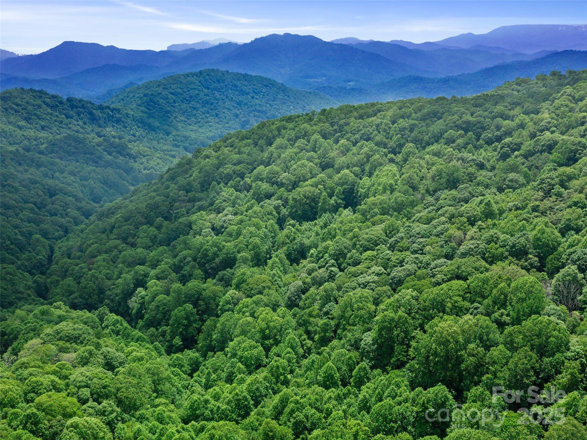 #1 TBD Lotties Creek Road #Lot 8, 39, 40, 41, 45 - Photo 18