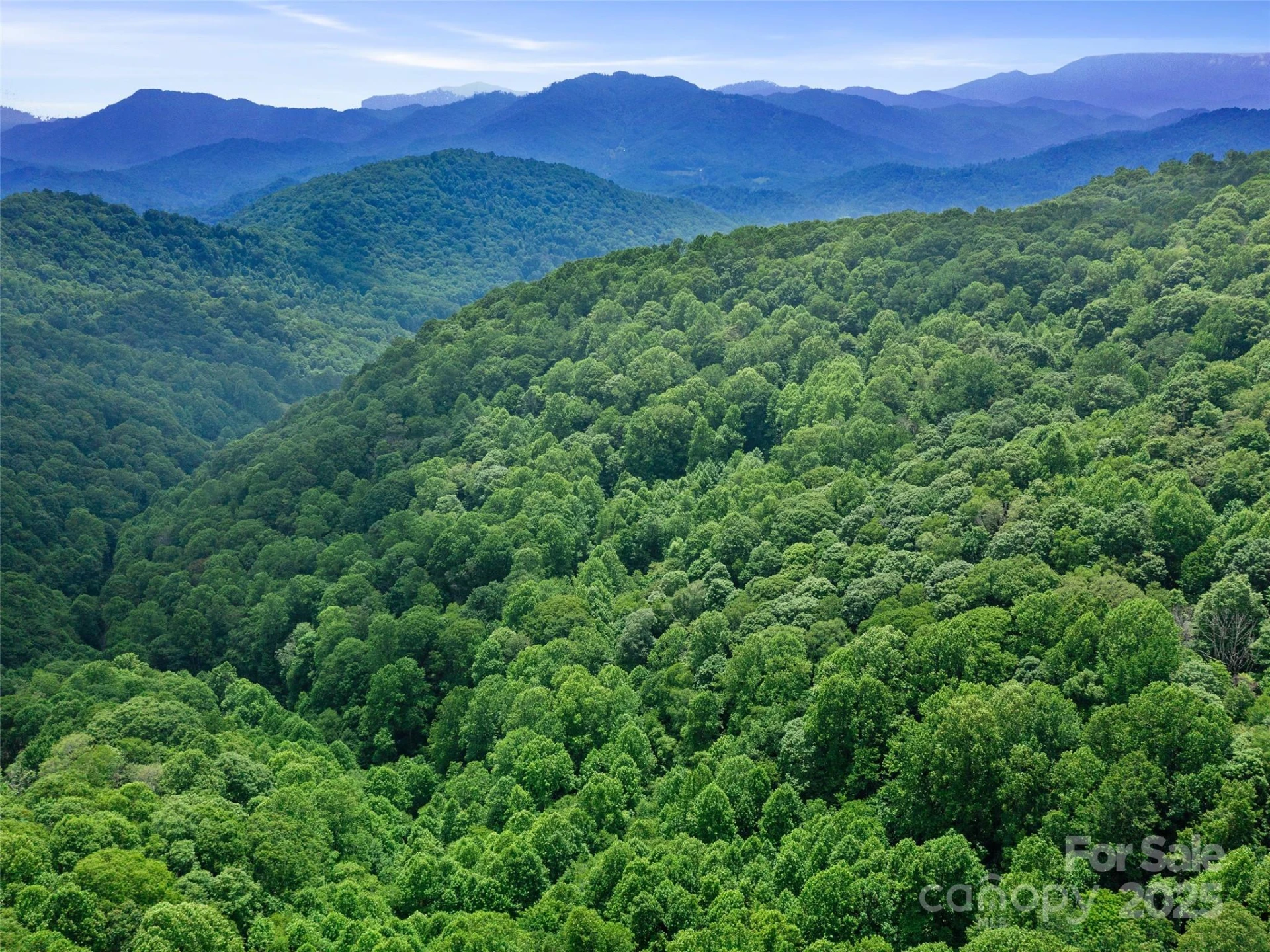 #1 TBD LOTTIES CREEK Road #Lot 8, 39, 40, 41, 45 - Photo 18