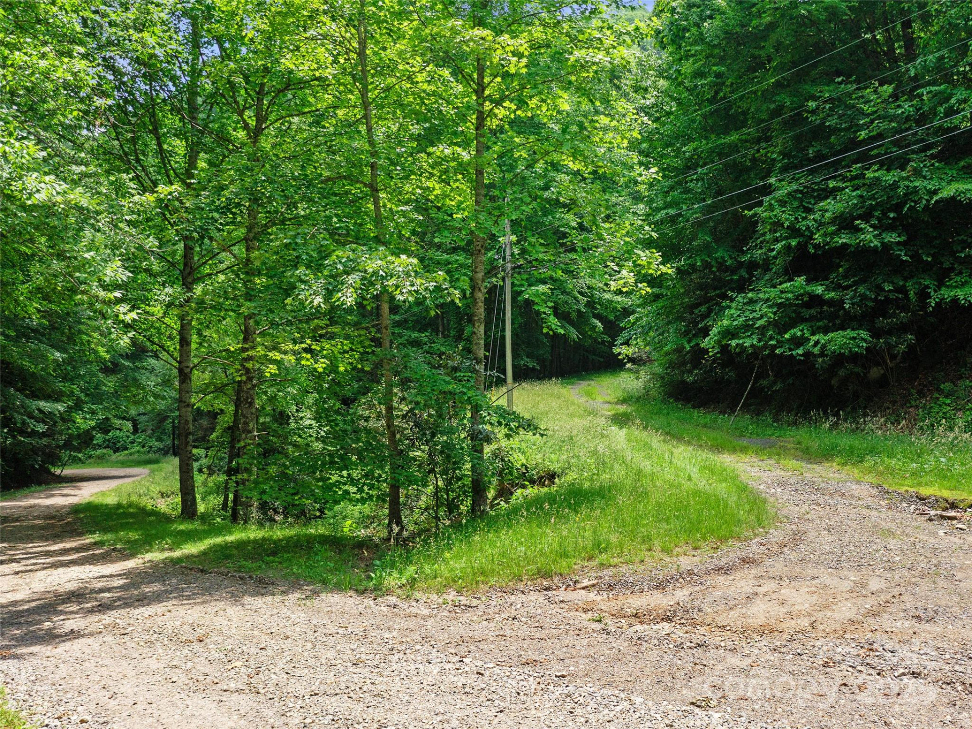 #1 TBD Lotties Creek Road #Lot 8, 39, 40, 41, 45 - Photo 4