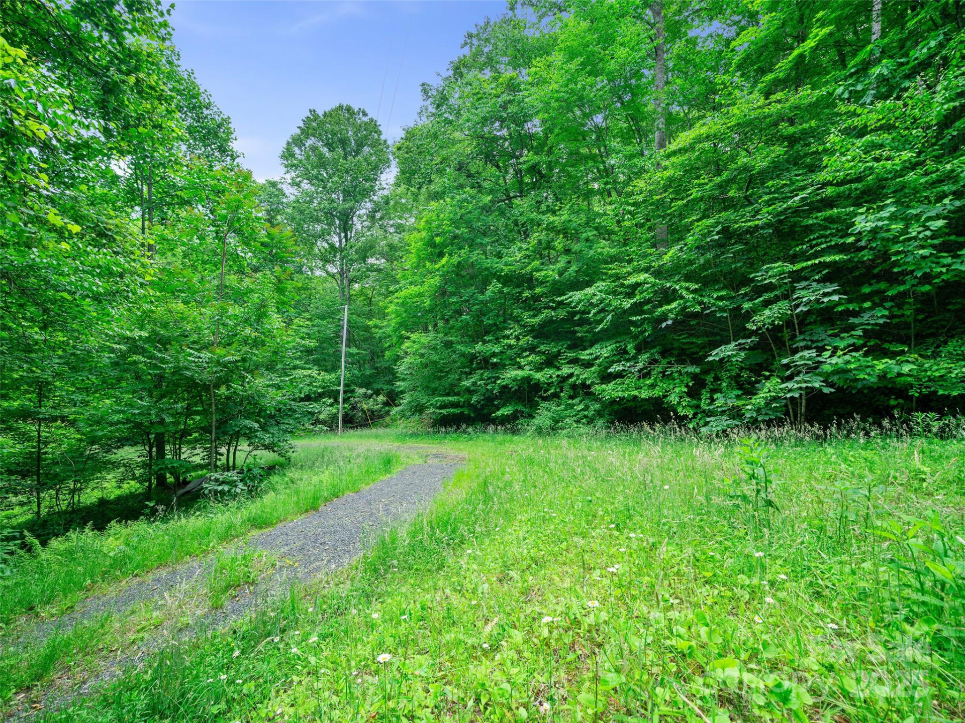 #1 TBD Lotties Creek Road #Lot 8, 39, 40, 41, 45 - Photo 5
