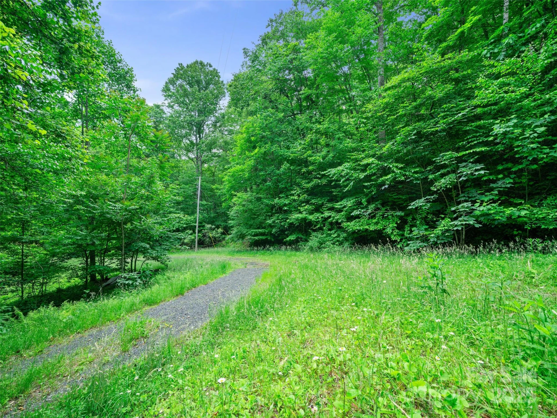 #1 TBD LOTTIES CREEK Road #Lot 8, 39, 40, 41, 45 - Photo 5