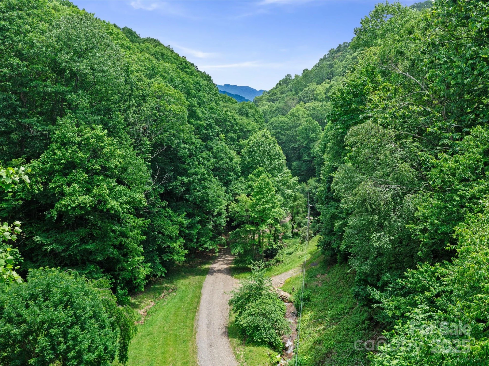 #1 TBD LOTTIES CREEK Road #Lot 8, 39, 40, 41, 45 - Photo 6