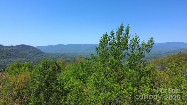 00 Smoky View Drive - Photo 2