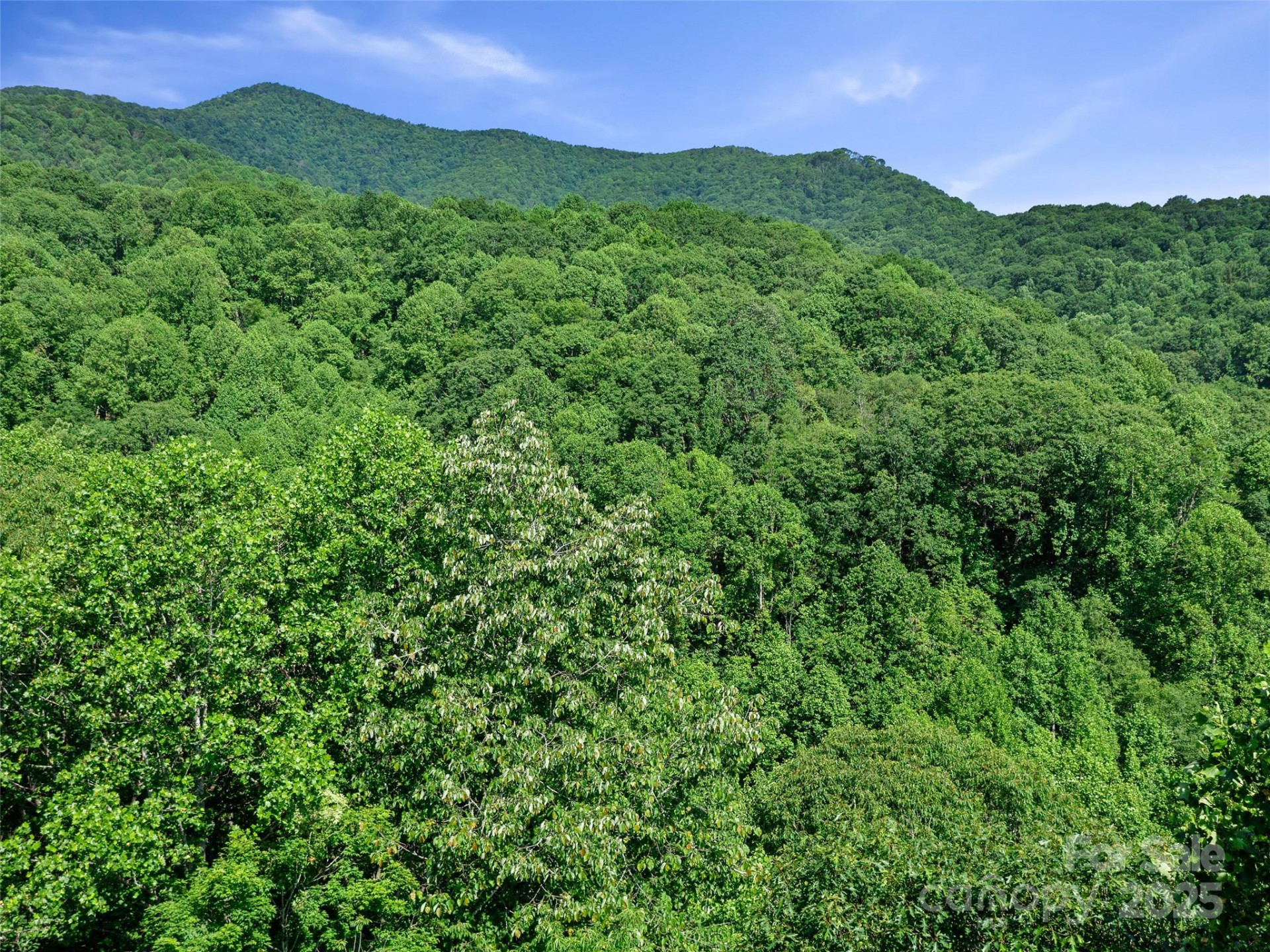 #2 TBD Lotties Creek Road #Lots 19, 20, 23,25,26,27 - Photo 11