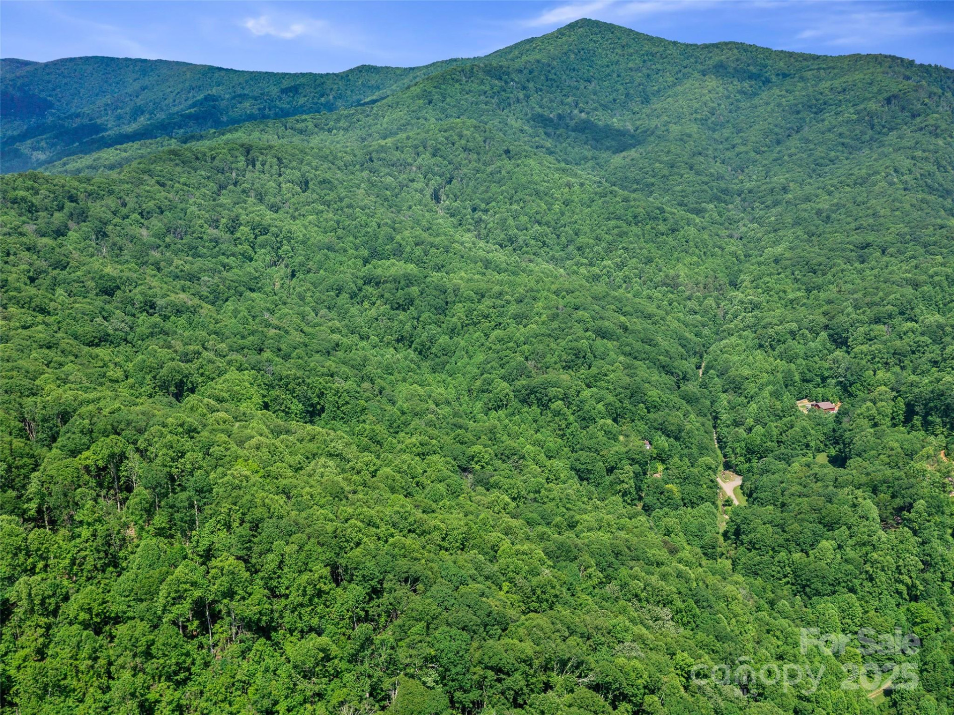 #2 TBD Lotties Creek Road #Lots 19, 20, 23,25,26,27 - Photo 12