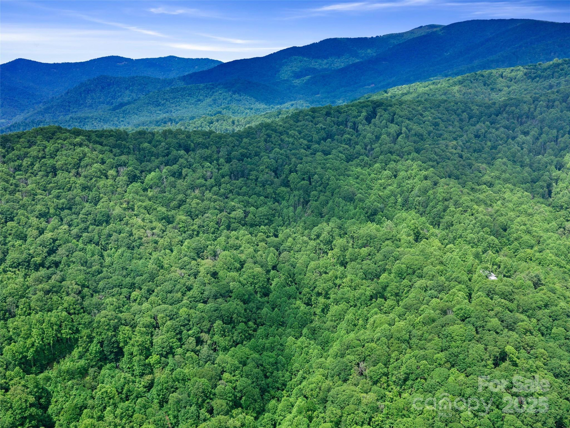 #2 TBD Lotties Creek Road #Lots 19, 20, 23,25,26,27 - Photo 14