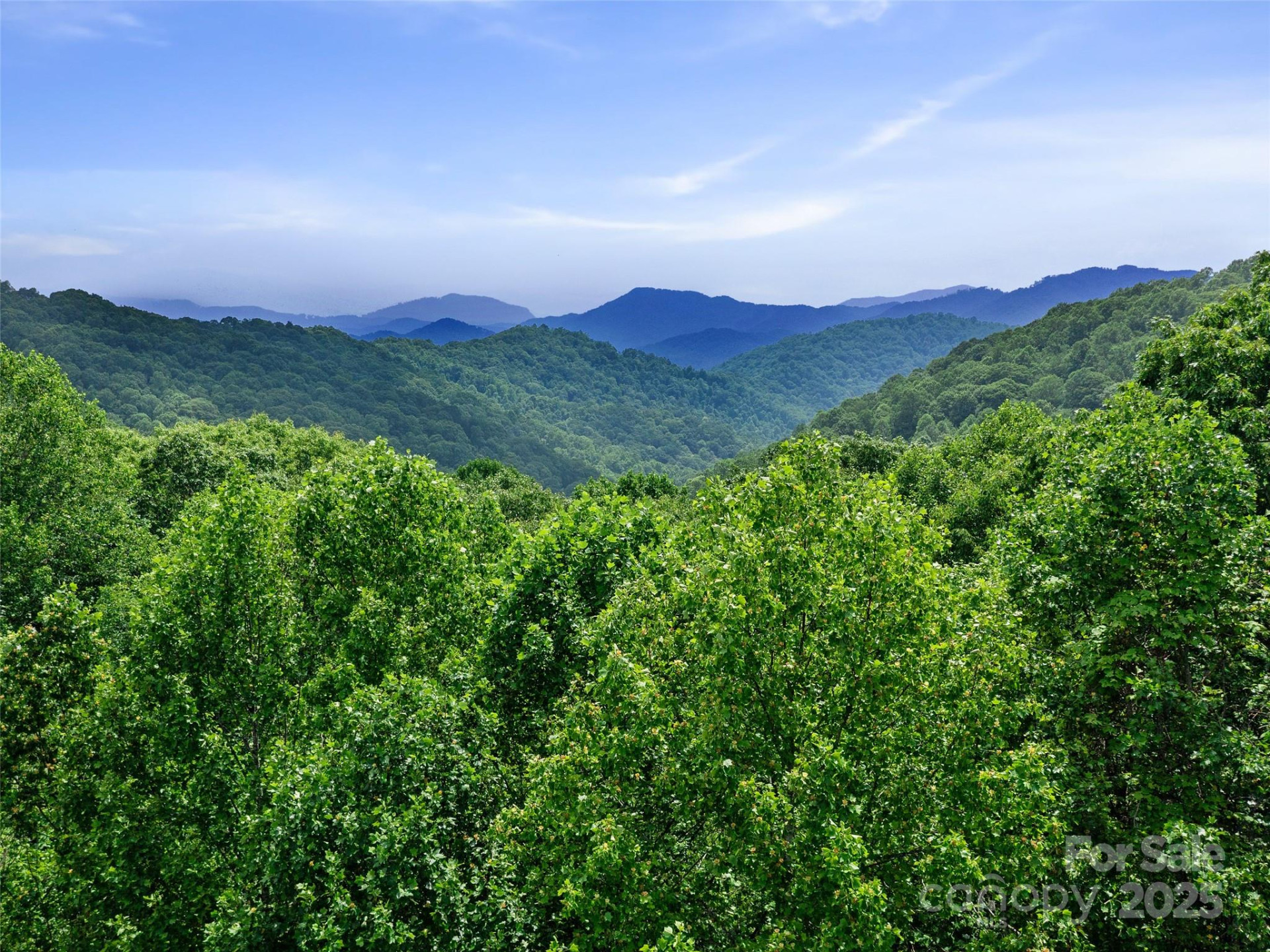 #2 TBD Lotties Creek Road #Lots 19, 20, 23,25,26,27 - Photo 18