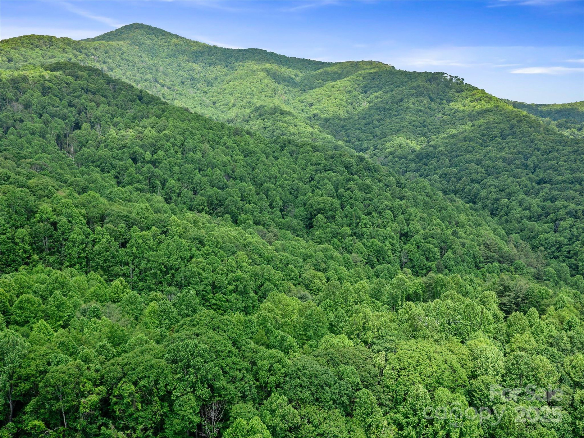 #2 TBD Lotties Creek Road #Lots 19, 20, 23,25,26,27 - Photo 19