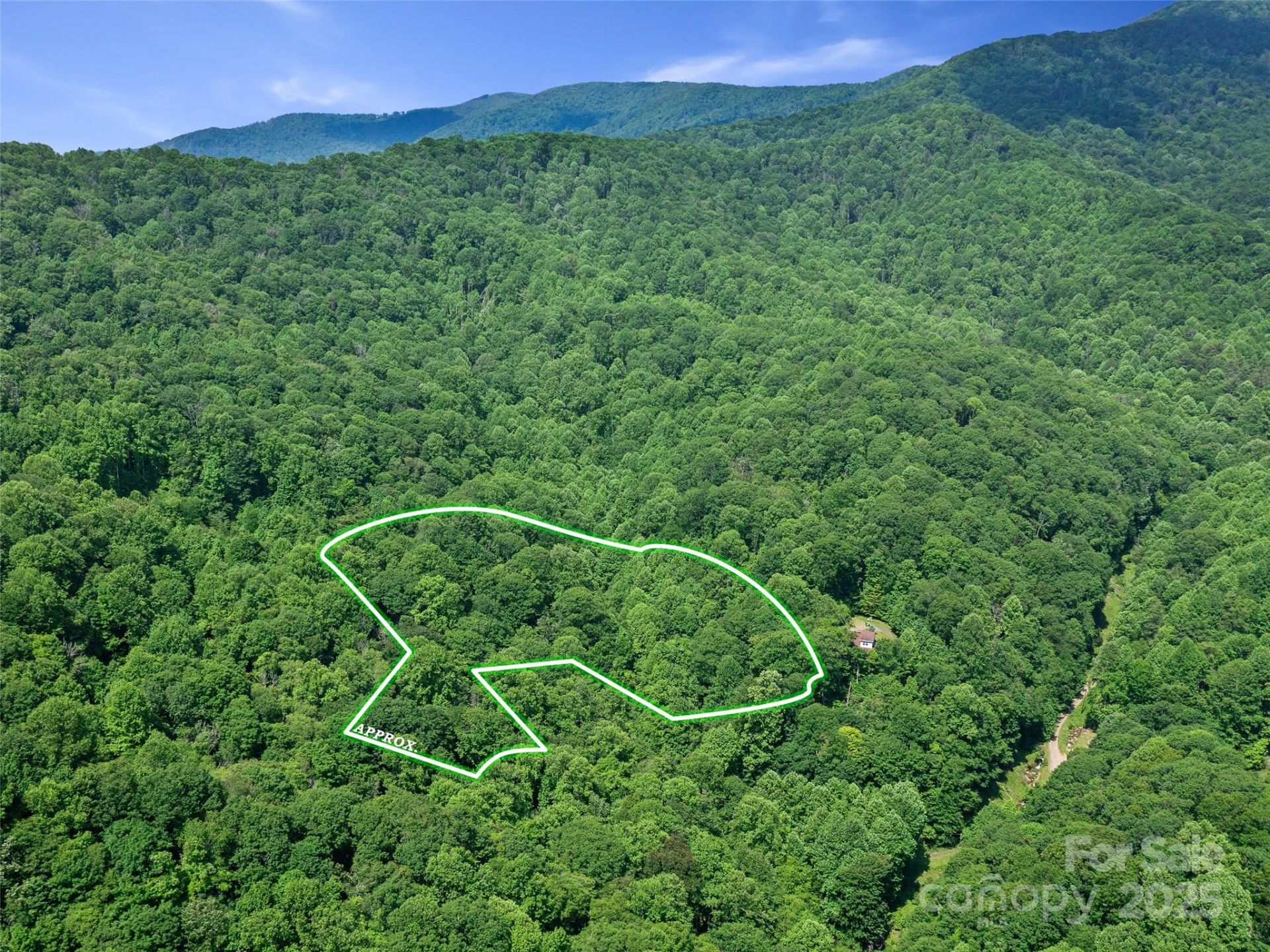 #2 TBD Lotties Creek Road #Lots 19, 20, 23,25,26,27 - Photo 3