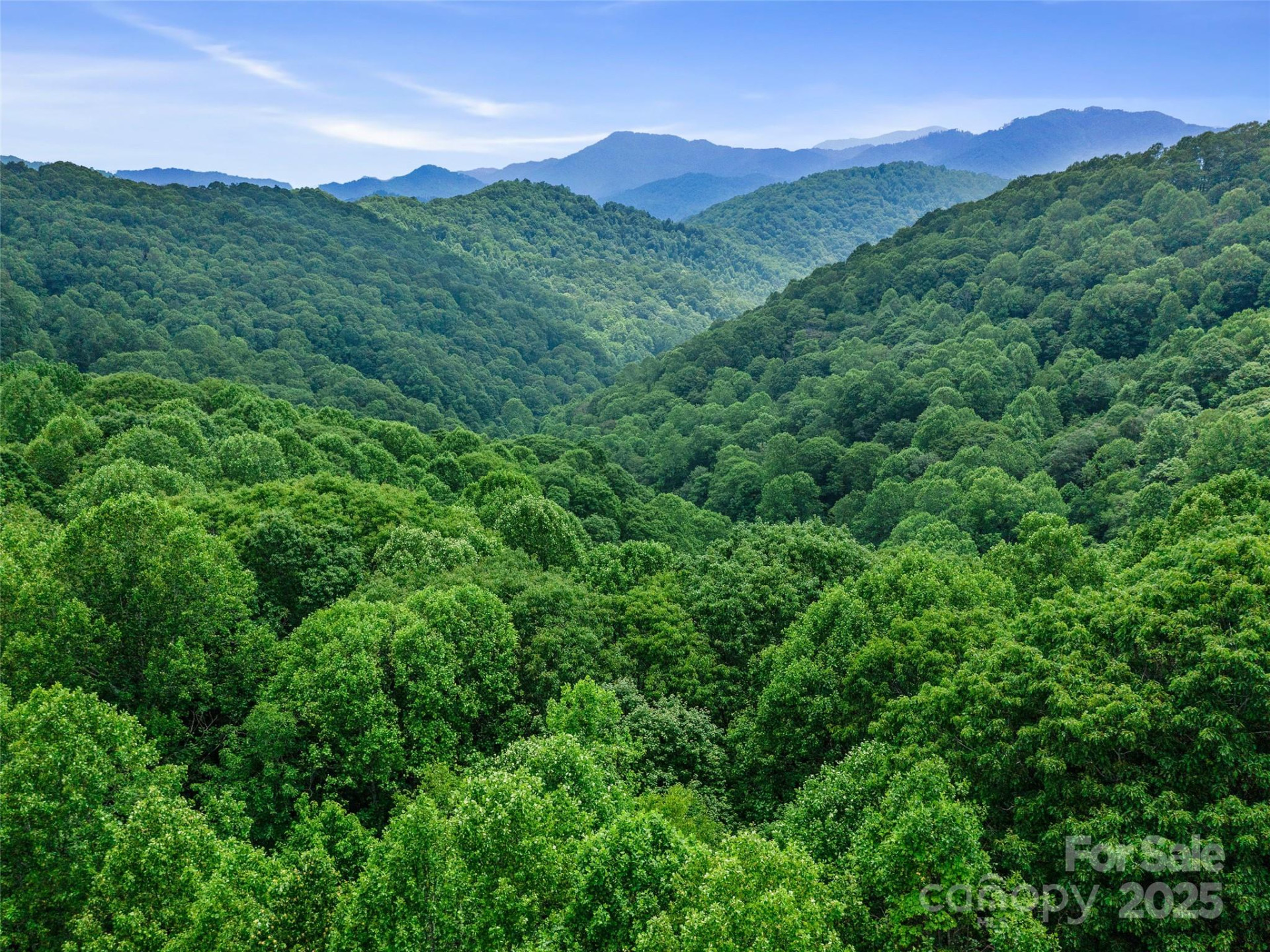 #2 TBD Lotties Creek Road #Lots 19, 20, 23,25,26,27 - Photo 8