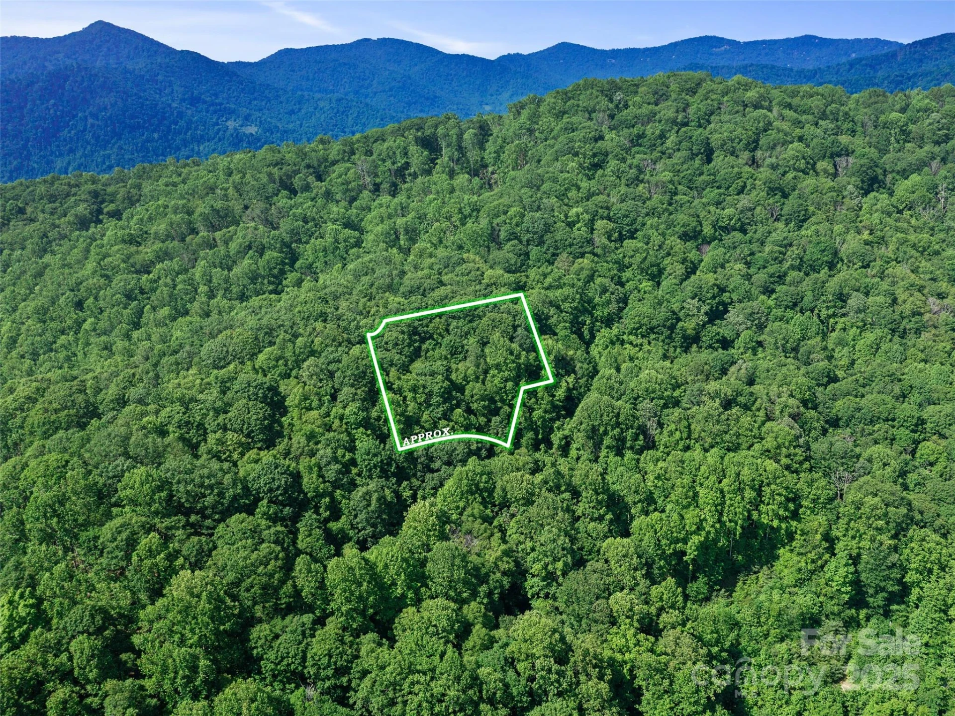 #3 TBD LOTTIES CREEK Road #Lots 37, 42 - Photo 2