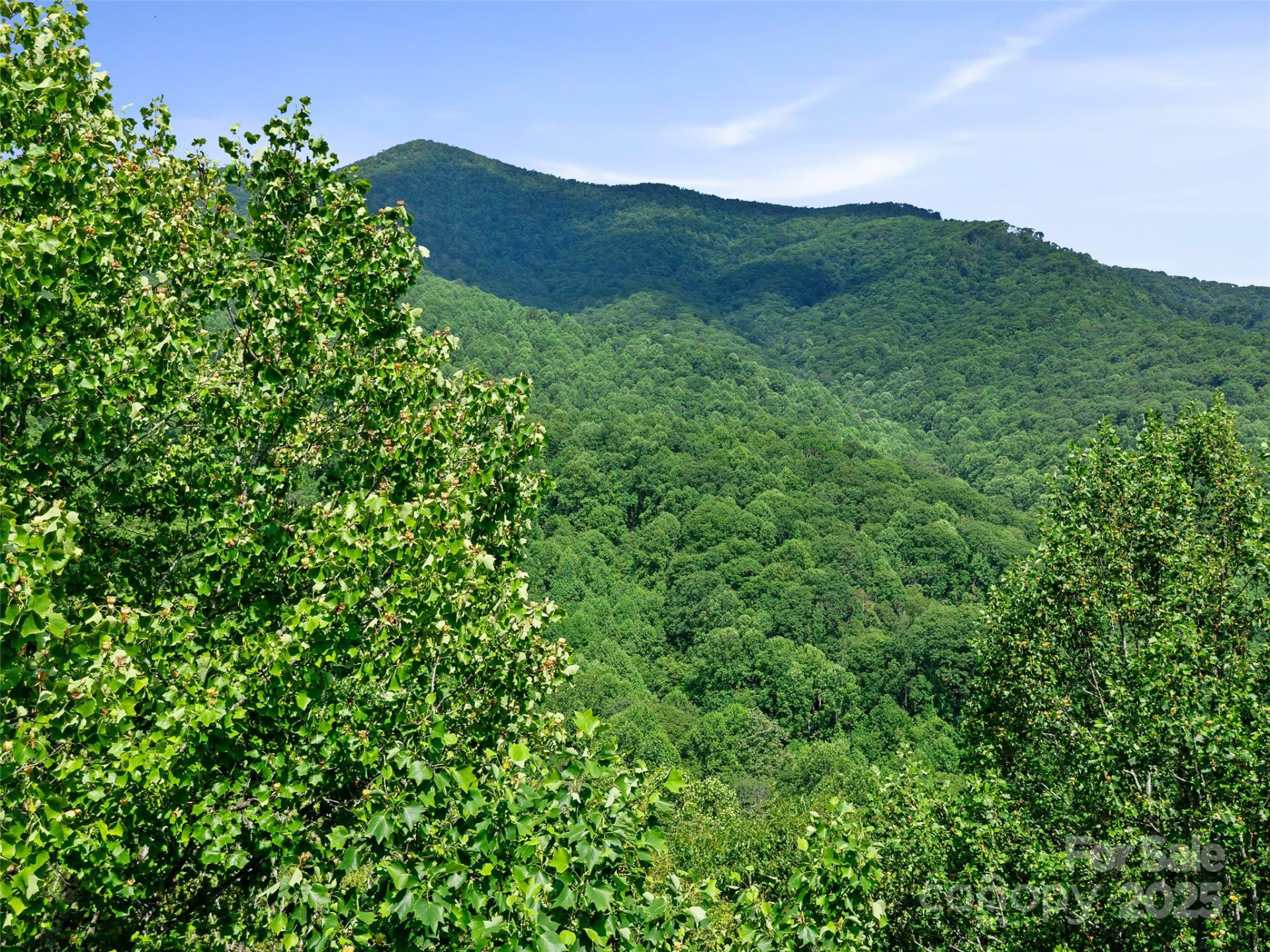 #3 TBD Lotties Creek Road #Lots 37, 42 - Photo 14