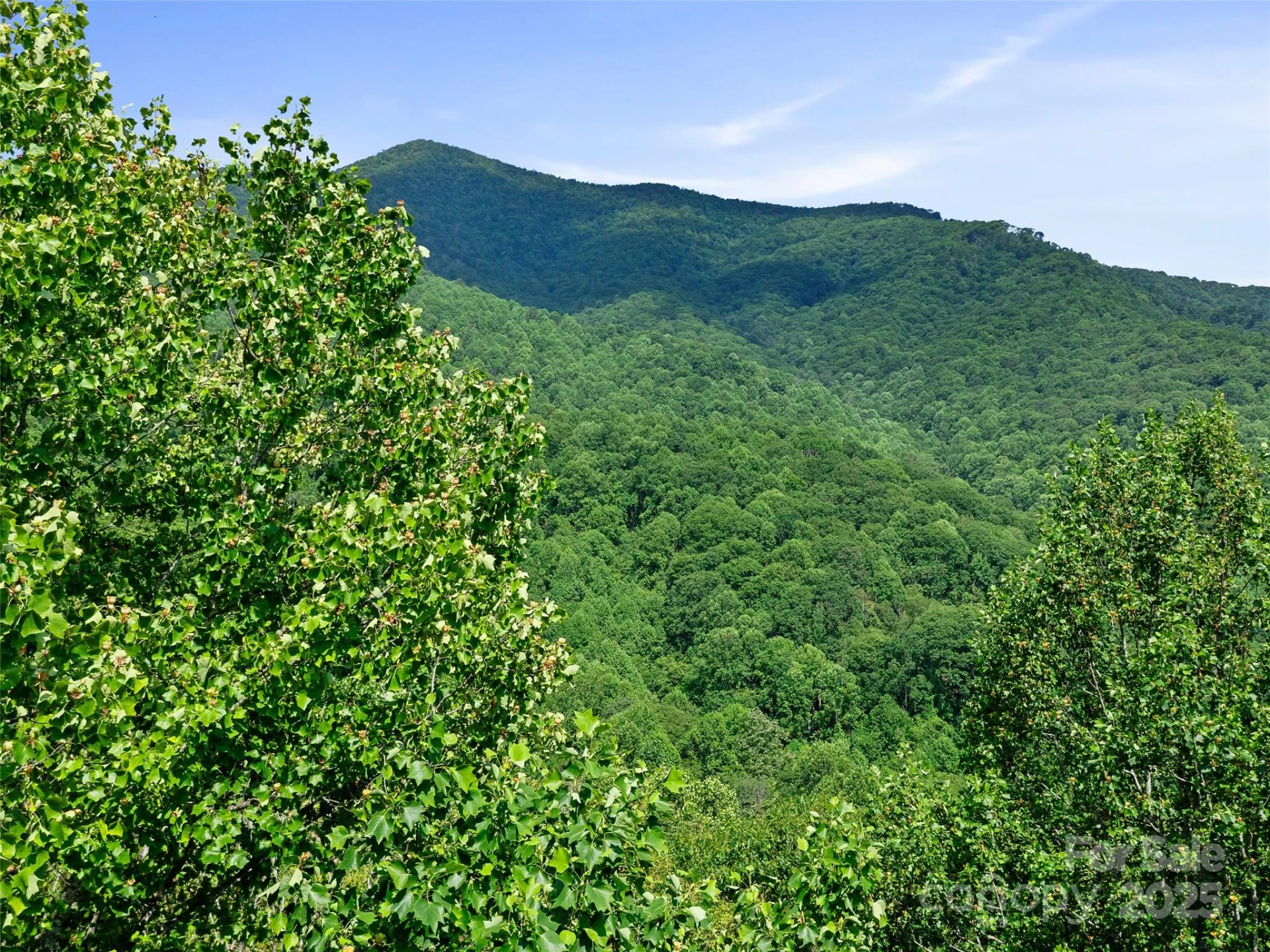 #3 TBD LOTTIES CREEK Road #Lots 37, 42 - Photo 14