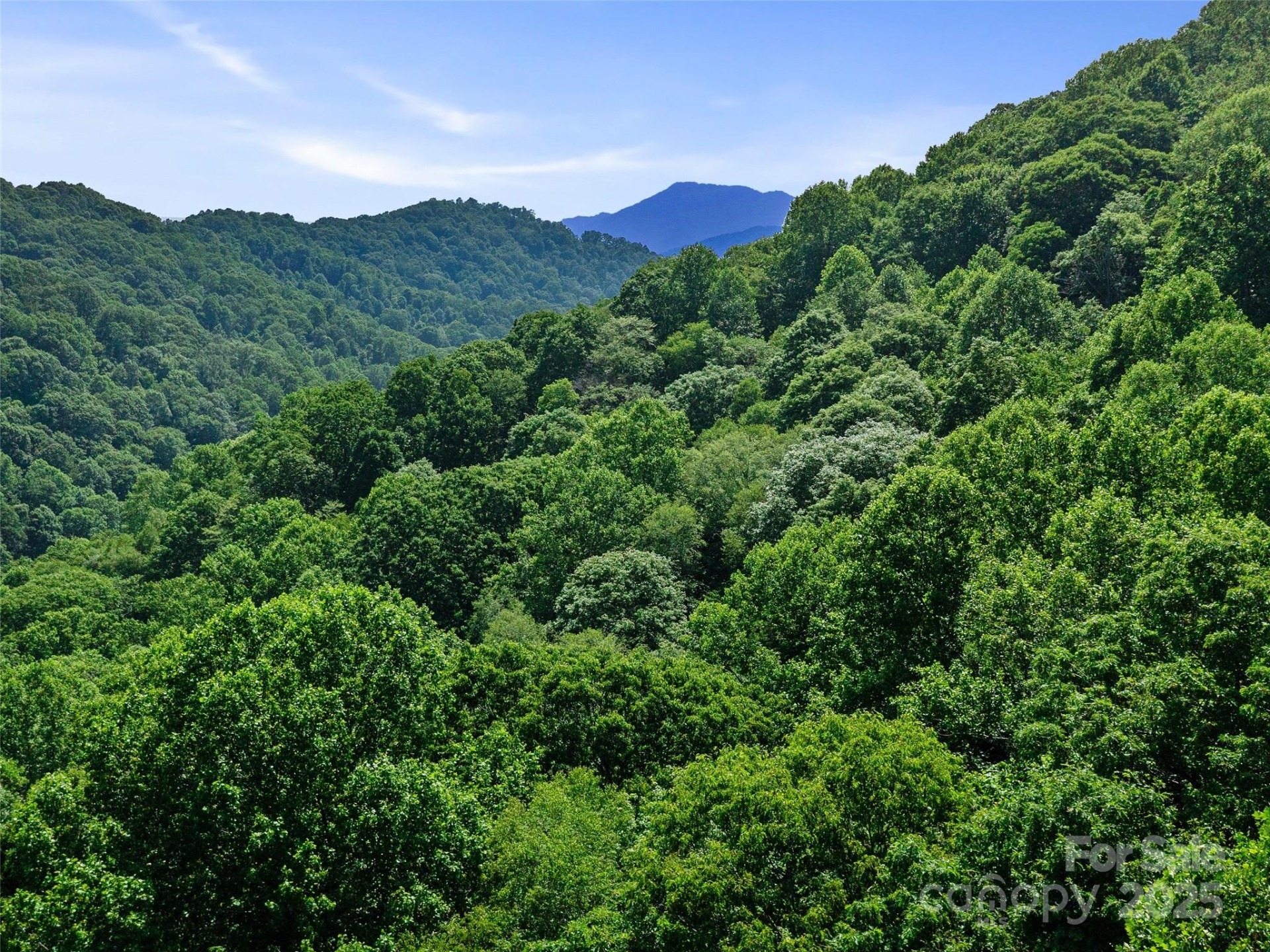 #3 TBD Lotties Creek Road #Lots 37, 42 - Photo 15