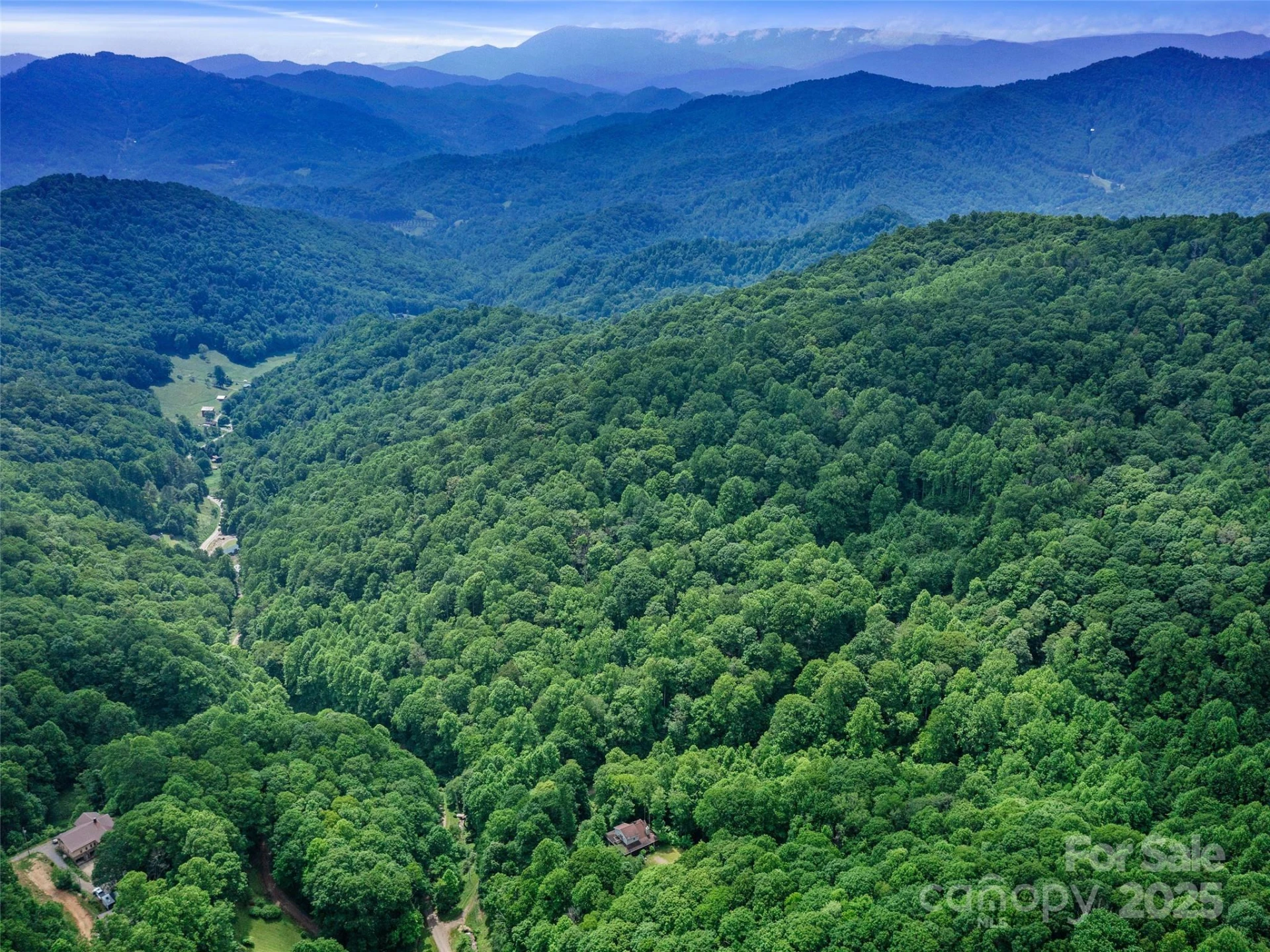 #3 TBD LOTTIES CREEK Road #Lots 37, 42 - Photo 19