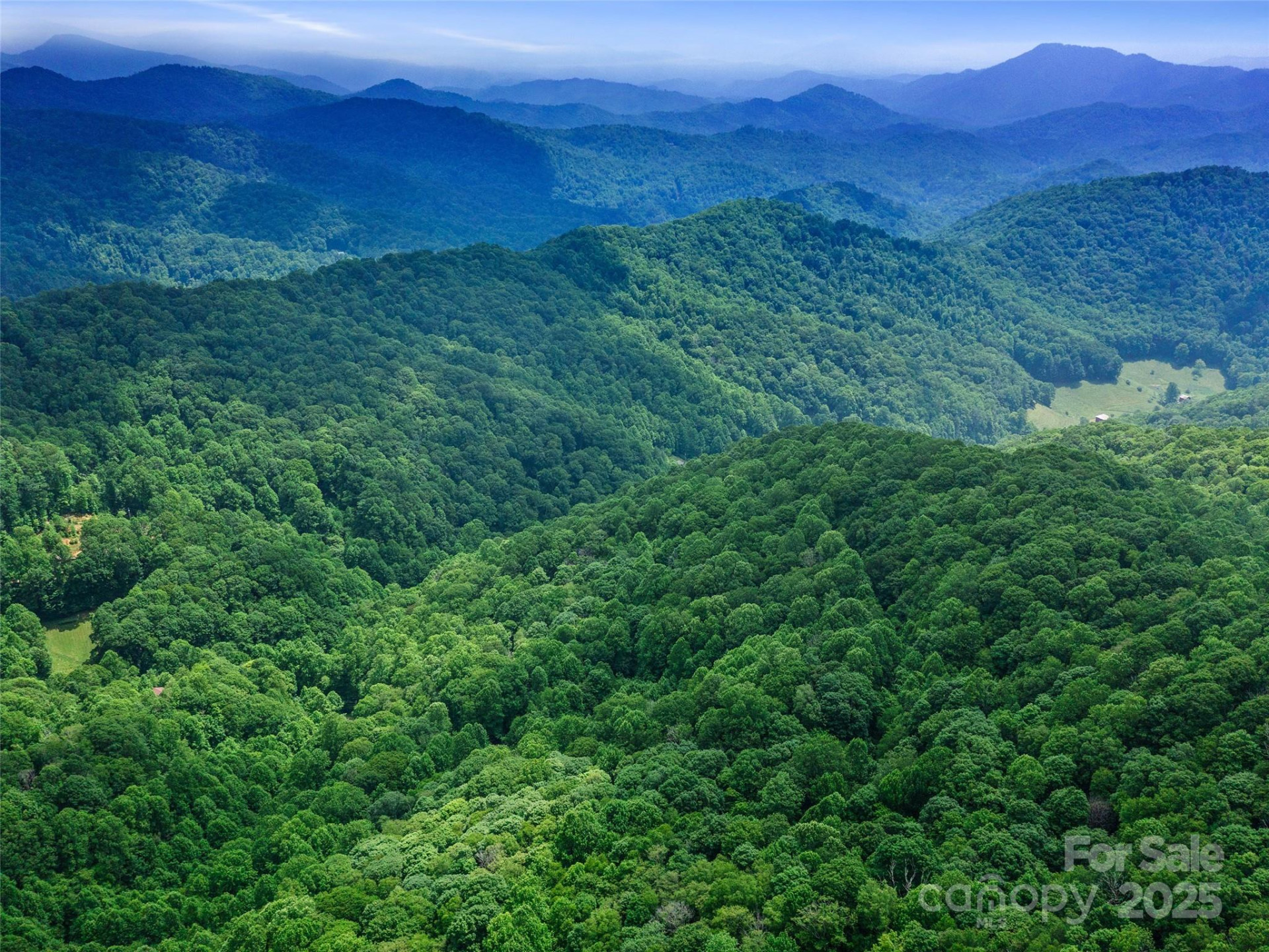 #3 TBD Lotties Creek Road #Lots 37, 42 - Photo 20