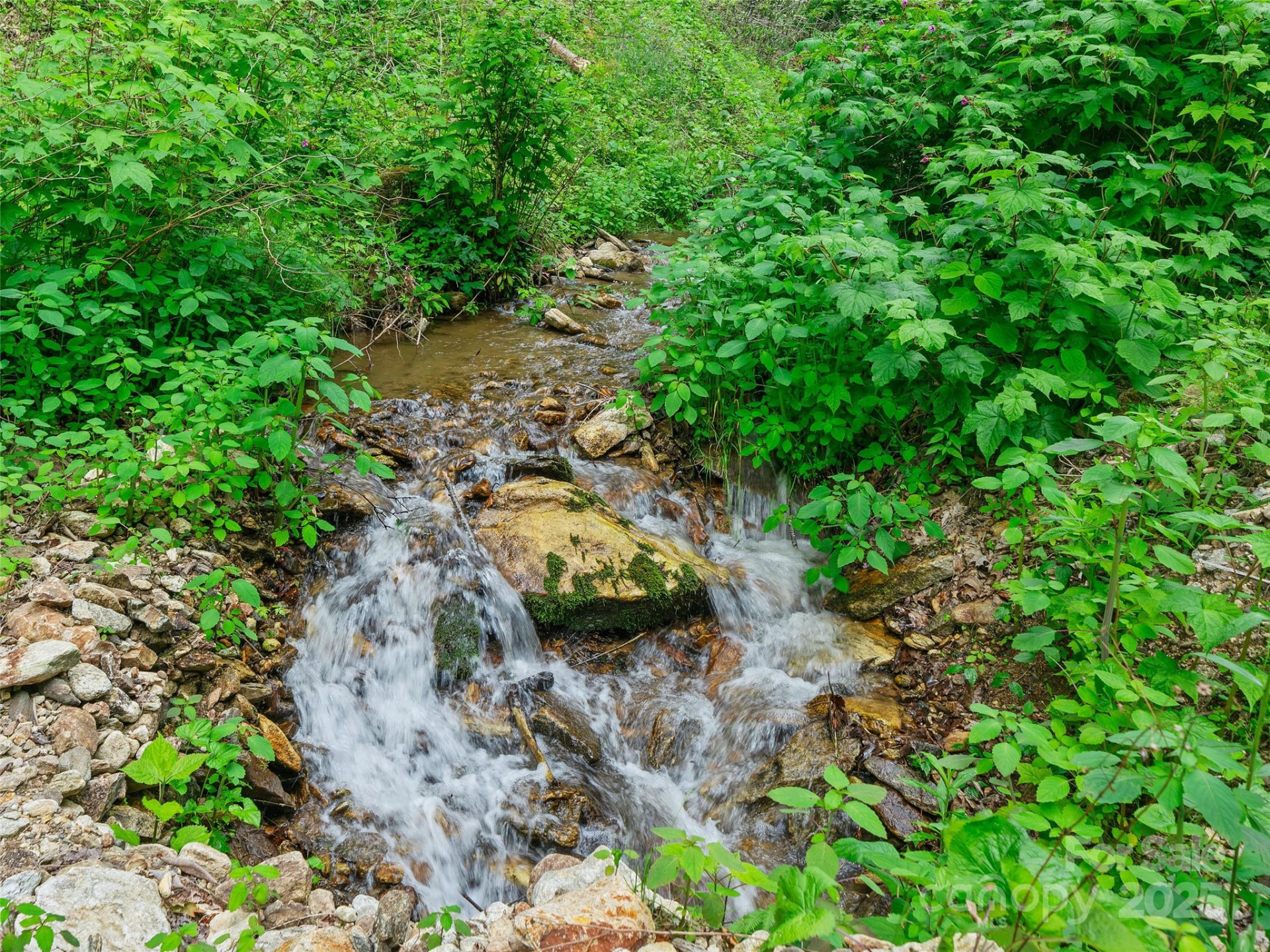 #3 TBD Lotties Creek Road #Lots 37, 42 - Photo 4