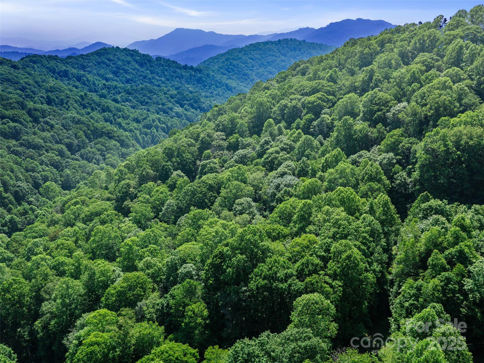 #3 TBD Lotties Creek Road #Lots 37, 42 - Photo 7