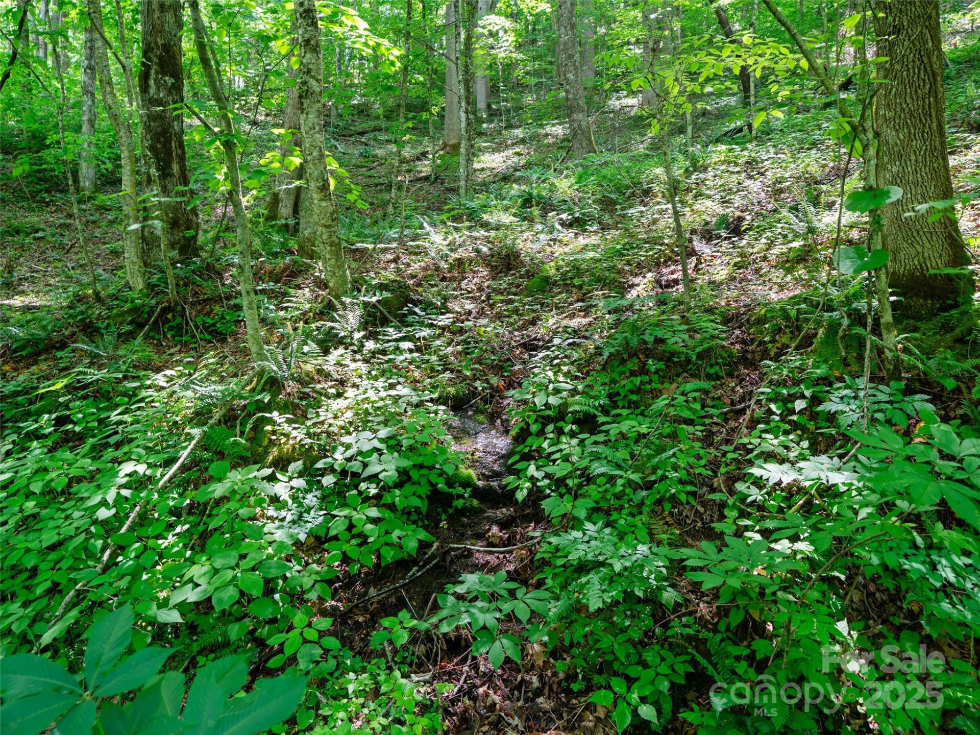 #3 TBD Lotties Creek Road #Lots 37, 42 - Photo 9