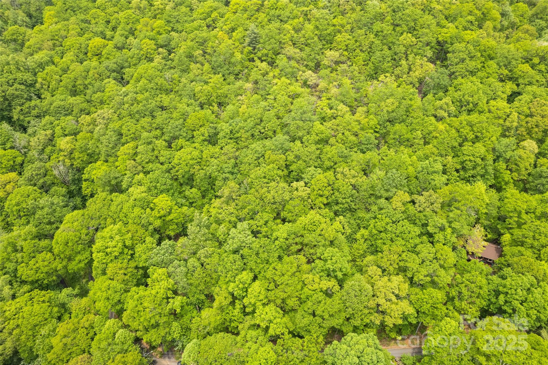 Lot 4 & 5 BLK 3 Skyline Drive - Photo 2