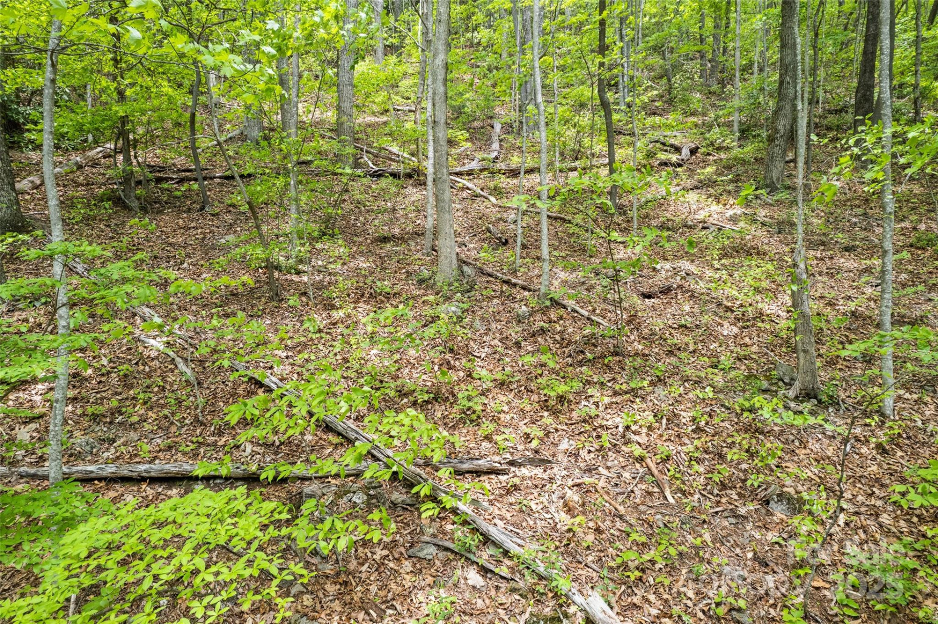 Lot 4 & 5 BLK 3 Skyline Drive - Photo 4