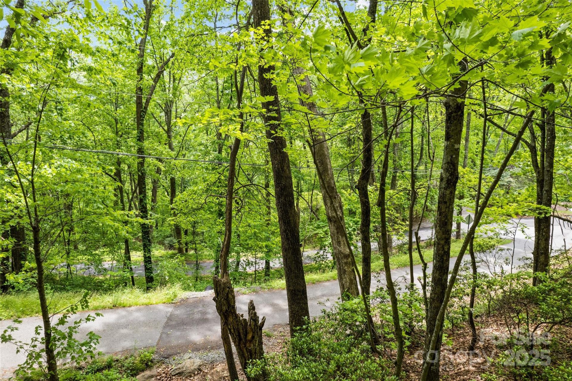 Lot 4 & 5 BLK 3 Skyline Drive - Photo 5