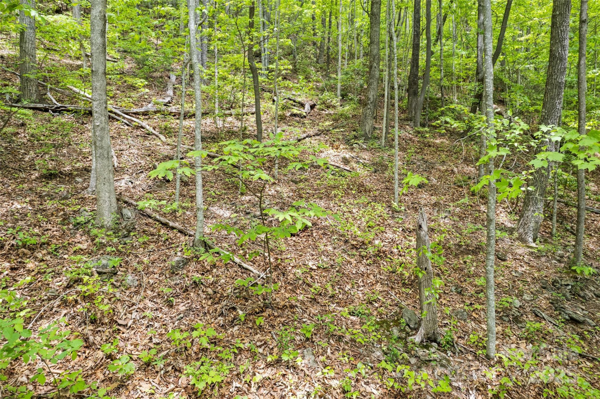 Lot 4 & 5 BLK 3 Skyline Drive - Photo 6