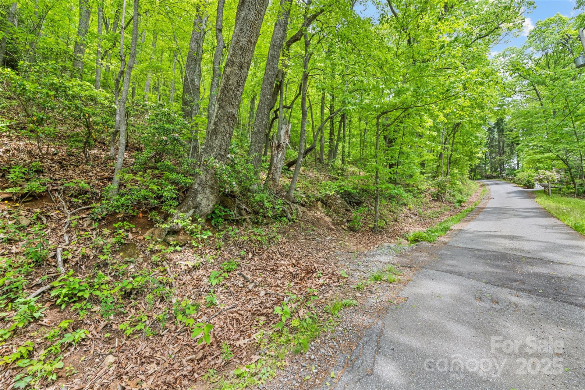 Lot 4 & 5 BLK 3 Skyline Drive - Photo 7